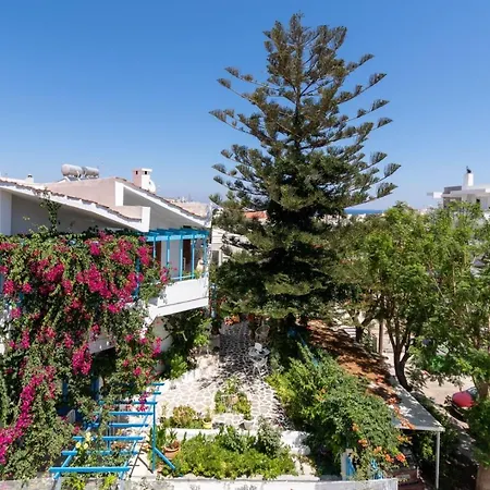 House Of Flowers