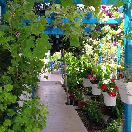 House Of Flowers דירה *