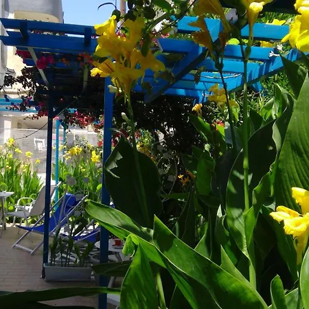 House Of Flowers Apartman Rhodes City