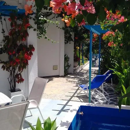 House Of Flowers * Rhodes City